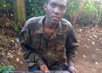 Uganda captures bomb expert of ADF rebel group