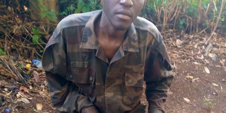 Uganda captures bomb expert of ADF rebel group