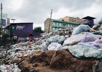 Beyond Shopping Bags: Kenya Tackles Organic Waste Plastic Pollution