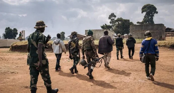 Militia kills at least 23 people in eastern DR Congo village attacks