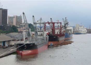 Cameroon: French court backs Douala port in Bolloré dispute