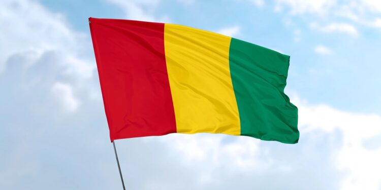 Guinea secures $14m loan for industry, SMEs