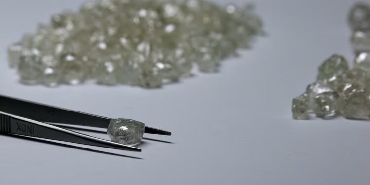 IMF slashes Botswana’s 2024 growth forecast amid diamond market woes