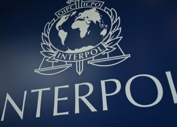 Interpol arrests 300 people in a global crackdown on crime groups