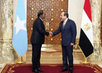 Egypt sends arms to Somalia following security pact, sources say
