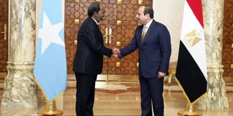 Egypt sends arms to Somalia following security pact, sources say