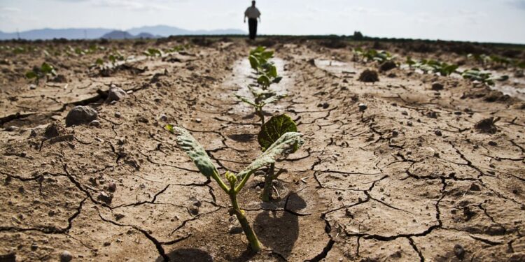 Malawi receives an insurance payout of $11.2 million for El Nino-linked drought disaster