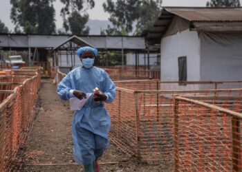 Mpox: Understanding the worldwide urgency and potential risks