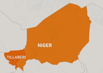 Russia says it is working to free Niger hostages