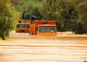 Torrential rains in Niger cut off Niamey from the rest of the country