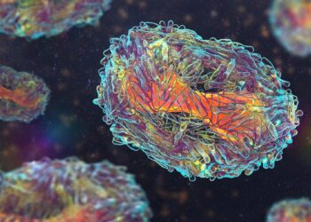 WHO official says Mpox is not the new COVID