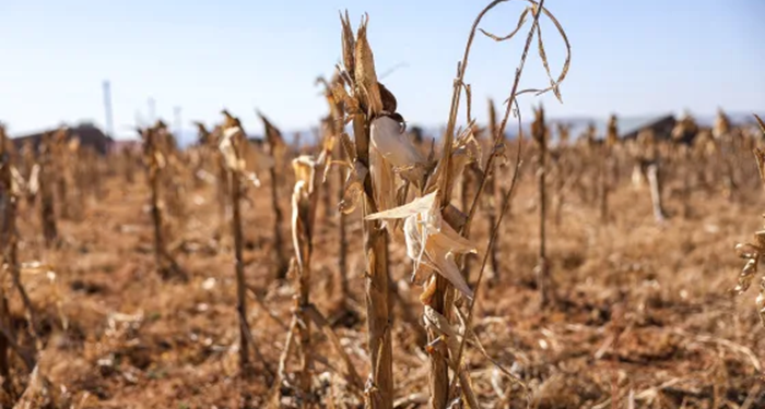 SADC says Nearly 68 million suffering from drought in Southern Africa