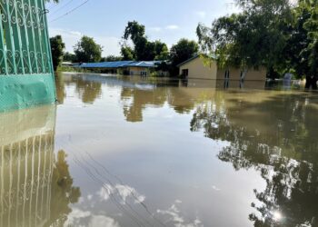 Floods decimate Nigerian zoo, wash crocodiles into community