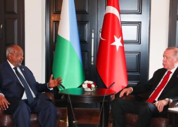 Turkey to seek improved Africa cooperation in Djibouti talks, officials say