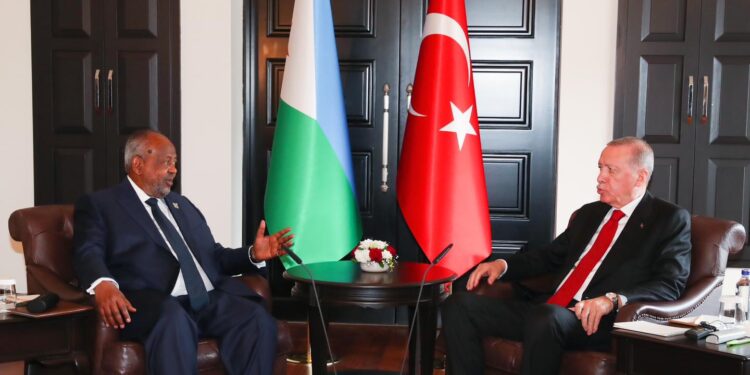 Turkey to seek improved Africa cooperation in Djibouti talks, officials say