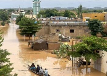 Senegal faces rising floodwaters as river levels reach critical levels