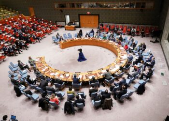 Permanent seats for African countries: just one of many reforms that are required at UN Security Council