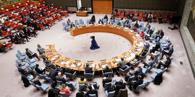 Permanent seats for African countries: just one of many reforms that are required at UN Security Council