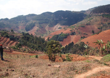 The Impact of Climate Change on Rwandan Agriculture and Food Security