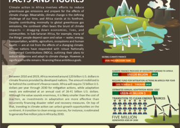 Infographic: The Africa’s Climate Action: Facts & Figures