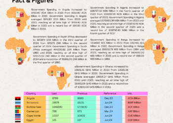 Infograph: Government Spendings in Africa (2023-2024)