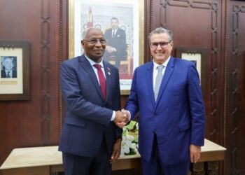 Morocco, Guinea look to deepen strategic ties