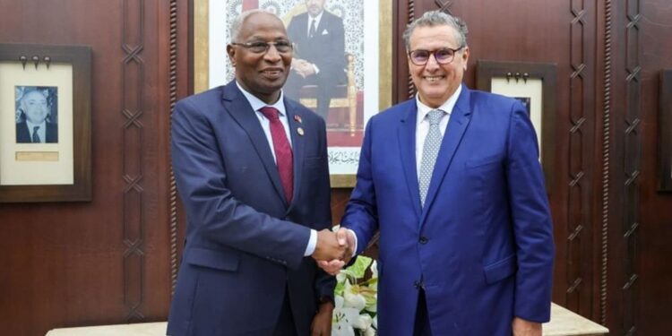 Morocco, Guinea look to deepen strategic ties