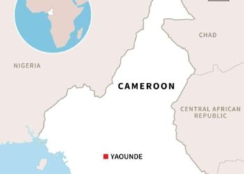 Gunmen from Nigeria kill five Cameroonian soldiers, MP says