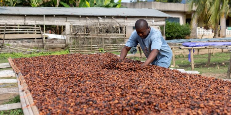 Ghana delayed delivery of 370,000 tons of cocoa in the 2023/24 season, official says