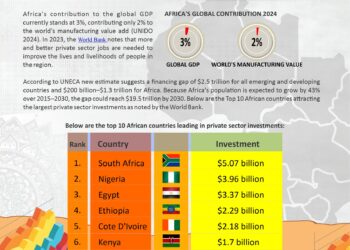 Infograph: Which African Countries are Leading in Private Sector Investments?