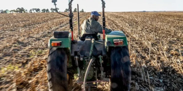 Trump threatens to cut funding for South Africa over land policy