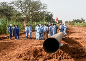 Niger orders three Chinese oil officials out of country