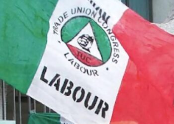 ‘Nigerians are frustrated,’ Trade Union backs Lagos corper facing threats for criticising President Tinubu