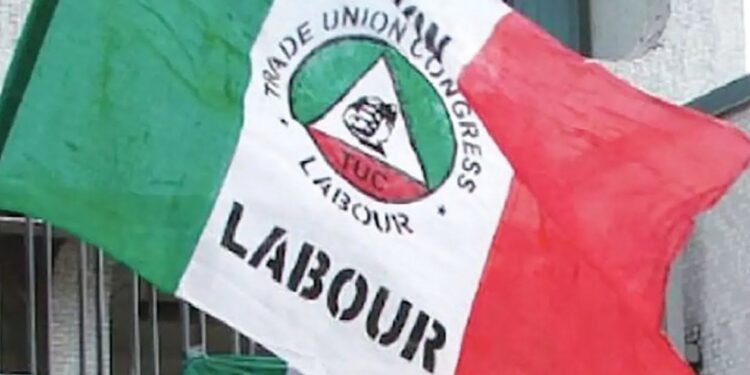 ‘Nigerians are frustrated,’ Trade Union backs Lagos corper facing threats for criticising President Tinubu