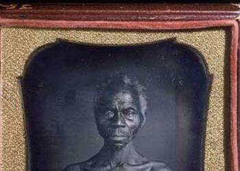Harvard agrees to relinquish early photos of slaves after long legal battle