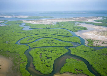 Saloum Delta, Senegal