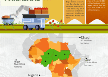 Infographic: Top 5 African Countries with the Most Farmland