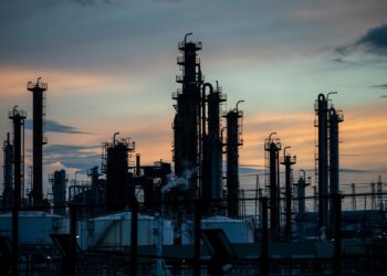 Towards Nigeria’s Path to Economic Independence: Homegrown Solutions in Focus