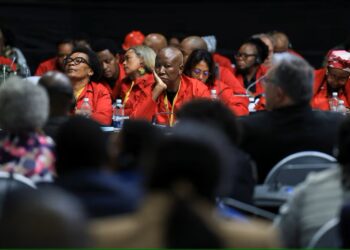 South Africa’s EFF party seeks to block fuel tax increase