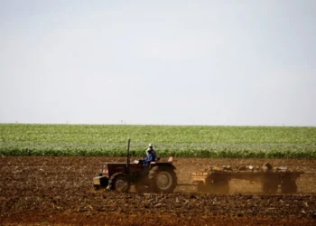 Unpacking the South African Land Law That Angers Trump