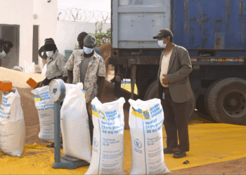 Ukraine turns to Africa in its struggle against Russia