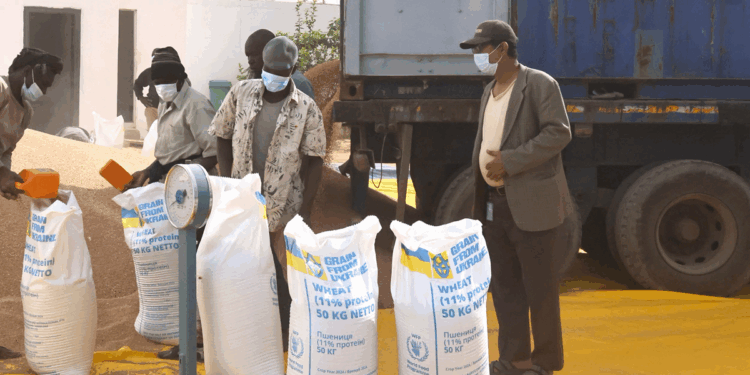 Ukraine turns to Africa in its struggle against Russia