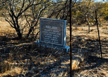 Zimbabwe court rejects opposition bid to block Gukurahundi massacre hearings