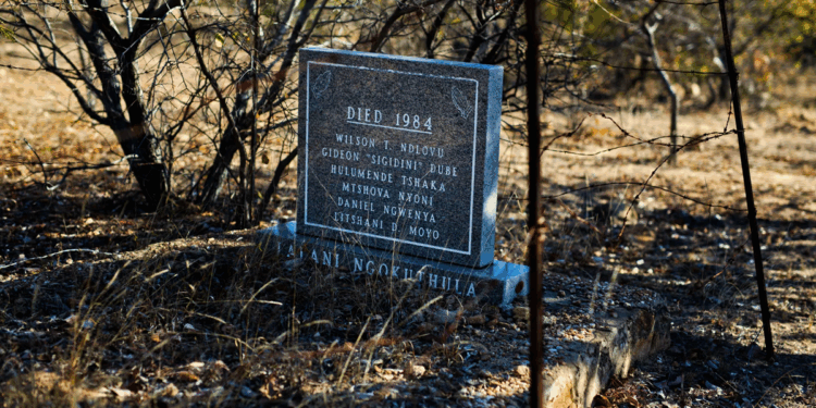 Zimbabwe court rejects opposition bid to block Gukurahundi massacre hearings