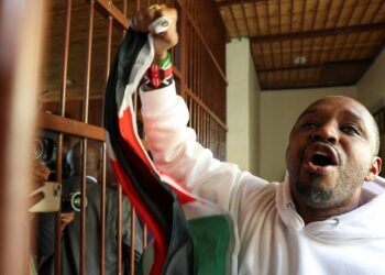 Kenya rights activist freed on bail, charged with unlawful possession of ammunition