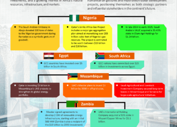 Infographic: Leading African Countries for Middle East Investments 2025