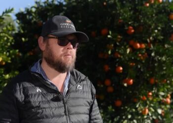 US tariffs on South Africa set to hit white farmers Trump has embraced