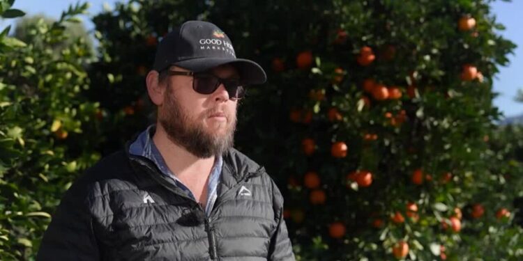 US tariffs on South Africa set to hit white farmers Trump has embraced