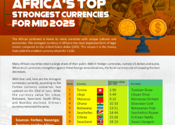 Infographic: Africa’s Top Strongest Currencies for Mid 2025