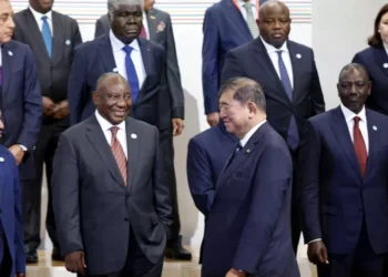 Japan seeks bigger role in Africa at Yokohama summit